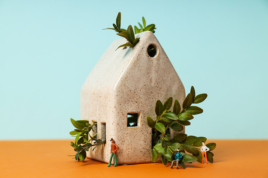 Miniature house with plants and tiny figurines