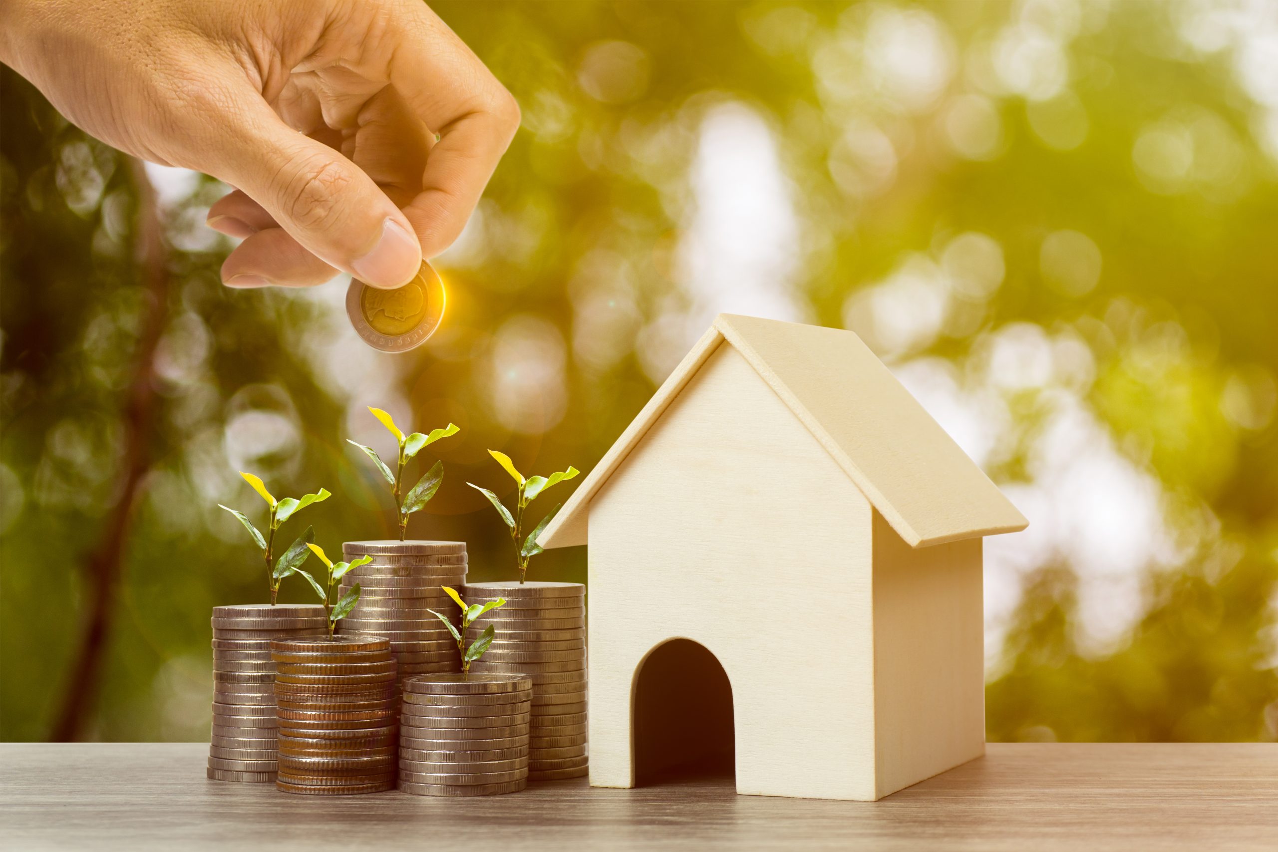 Investment property